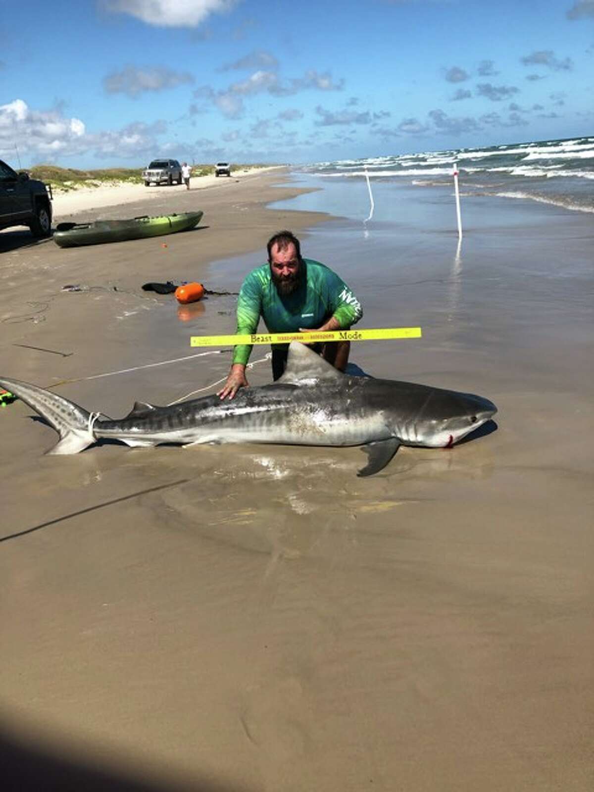 Texas man catches, releases 8foot tiger shark in Corpus Christi