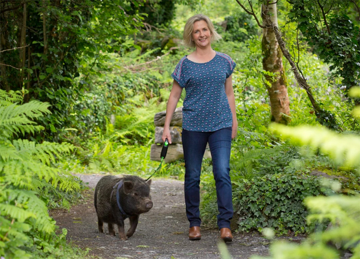 Airbnb adds ethical animal experiences to its tour lineup