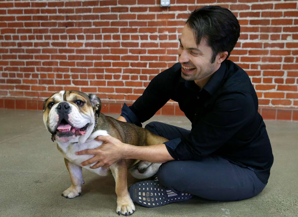 Ryan Bethencourt, CEO of Wild Earth, plays with his foster dog Roscoe at the vegan dog food company's headquarters in Berkeley, Calif. on Friday, Oct. 4, 2019.