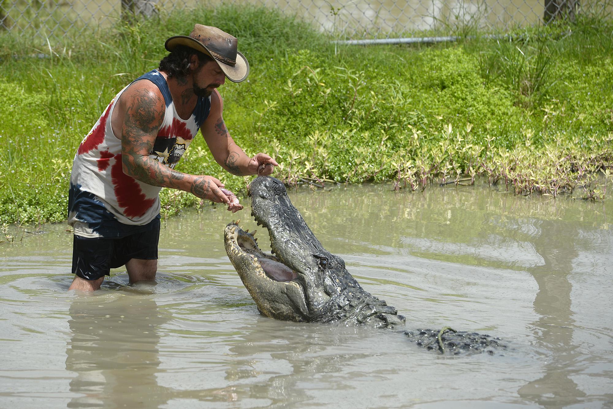 Giant gator lost and found; a DPS gut check