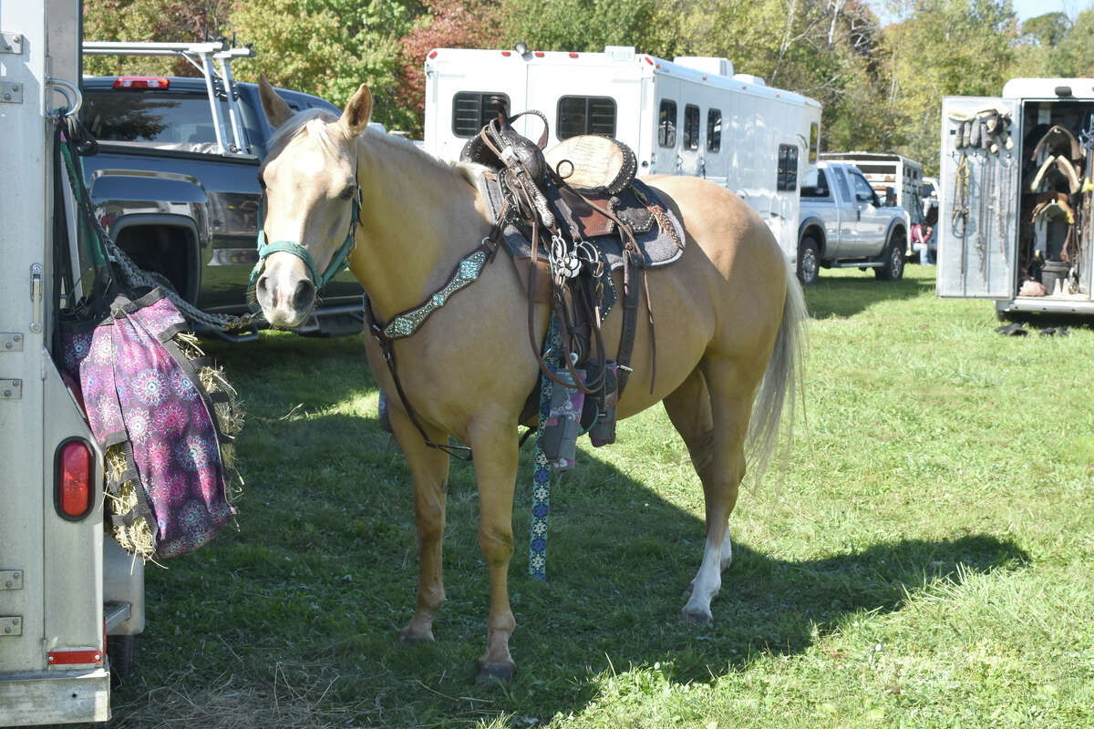 In Photos 163rd Harwinton Fair