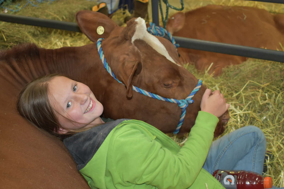 In Photos 163rd Harwinton Fair