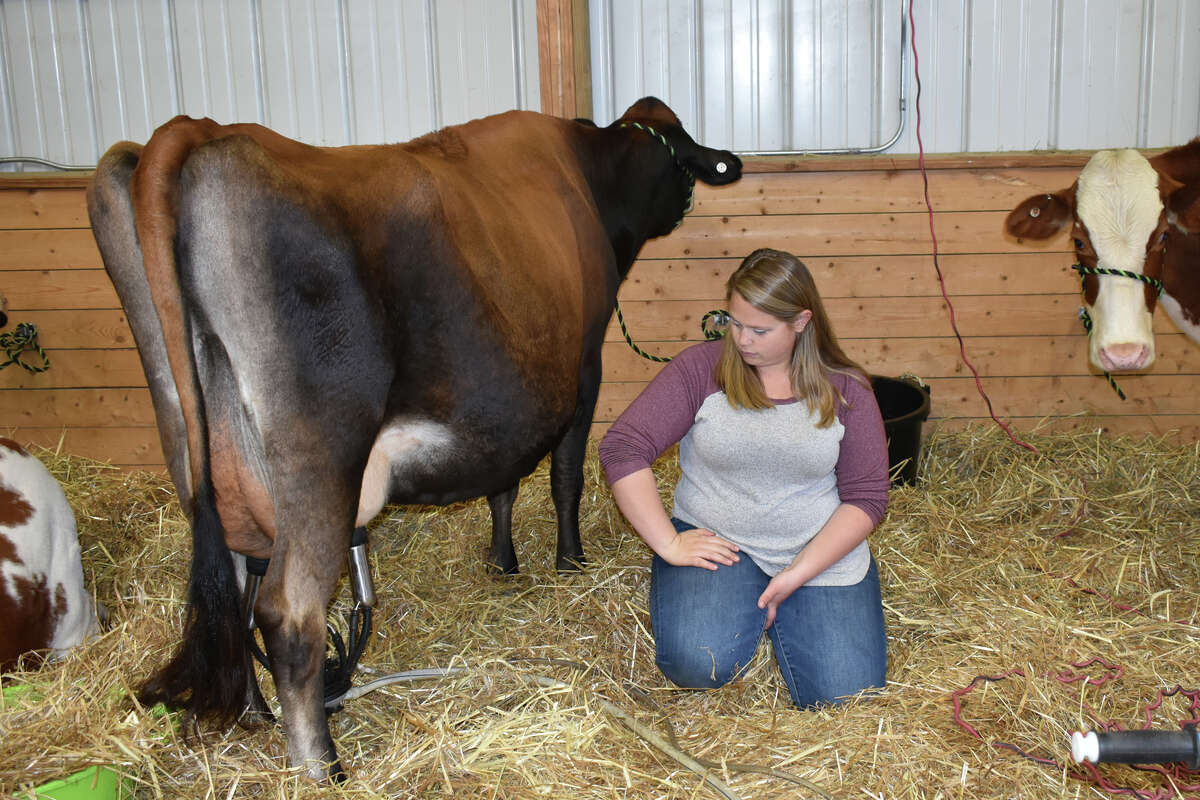 In Photos 163rd Harwinton Fair