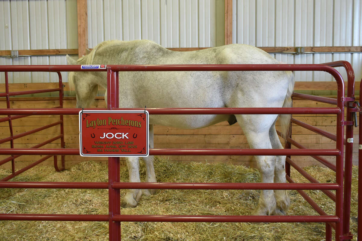 In Photos 163rd Harwinton Fair