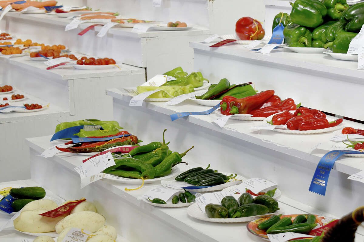 In Photos 163rd Harwinton Fair