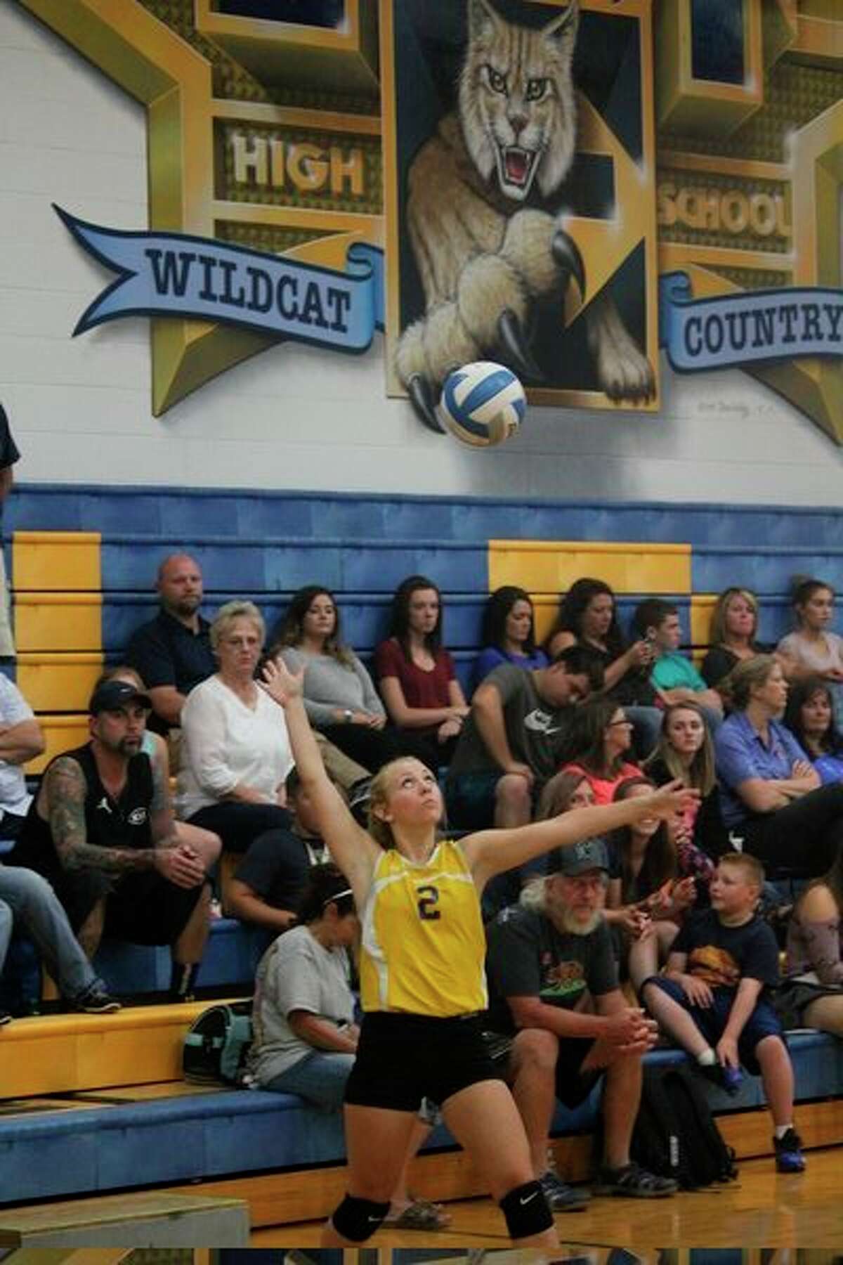 Evart's Kaylee Ladd gets set to serve during a match. (Herald Review file photo)