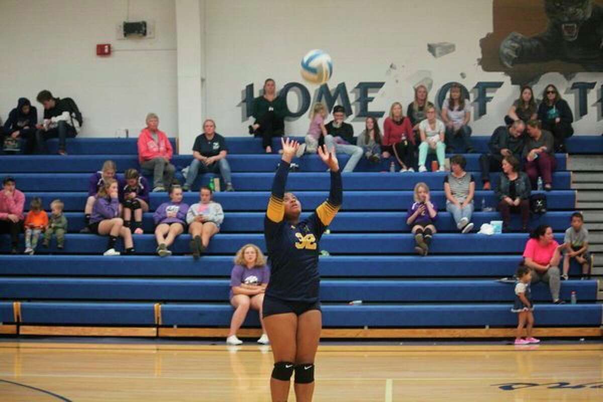 Cierra Pieske sets the ball for Baldwin against Pentwater. (Star photo/John Raffel)