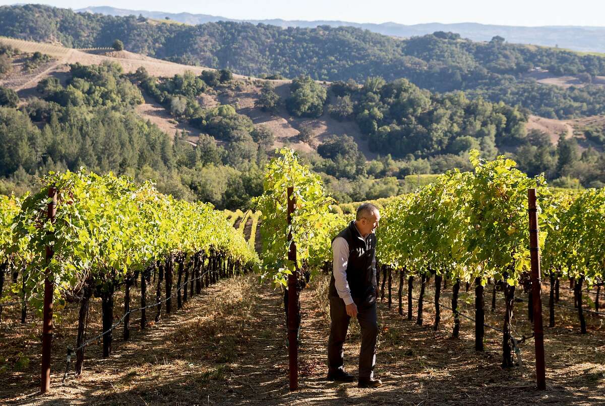 On-site customer director Philip Hansell walks through the vineyards where workers halted harvesting operations at the Hess Winery in Napa, Calif. Thursday, Oct. 10, 2019 after the winery closed due to a PG&E Public Safety Power Shutoffs across Northern California.