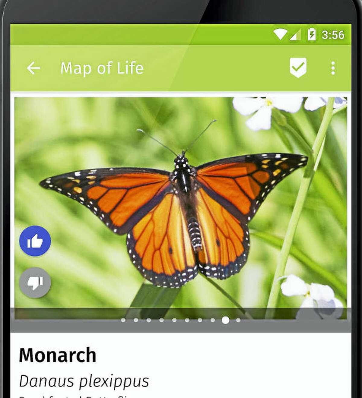 The Map of Life phone app