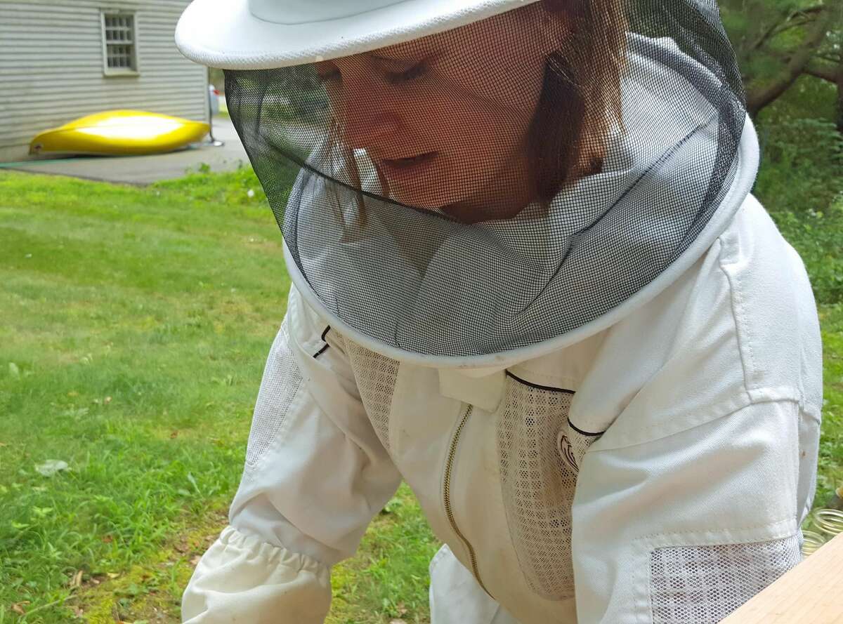 Allison Breeze inspecting bees.