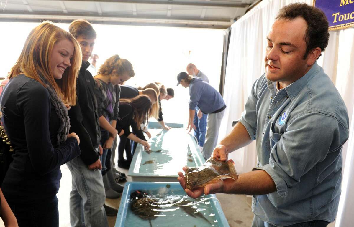 Students check out a flounder during a previous open house at the National Oceanic and Atmospheric Agency lab in Milford.