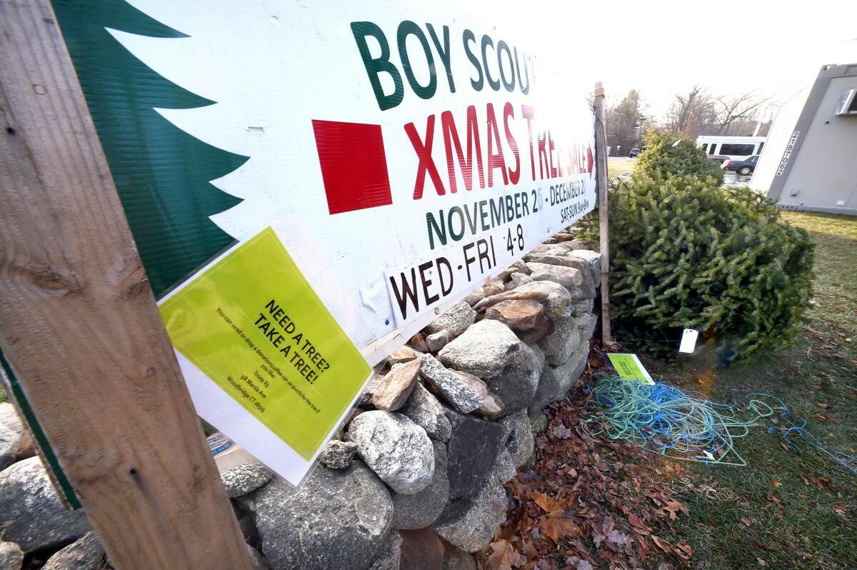 A sign reads NEED A TREE? TAKE A TREE! by the remaining dozen Christmas trees that are part of a Xmas tree sale by Boy Scout Troop 63 on the grounds of the old Woodbridge firehouse.