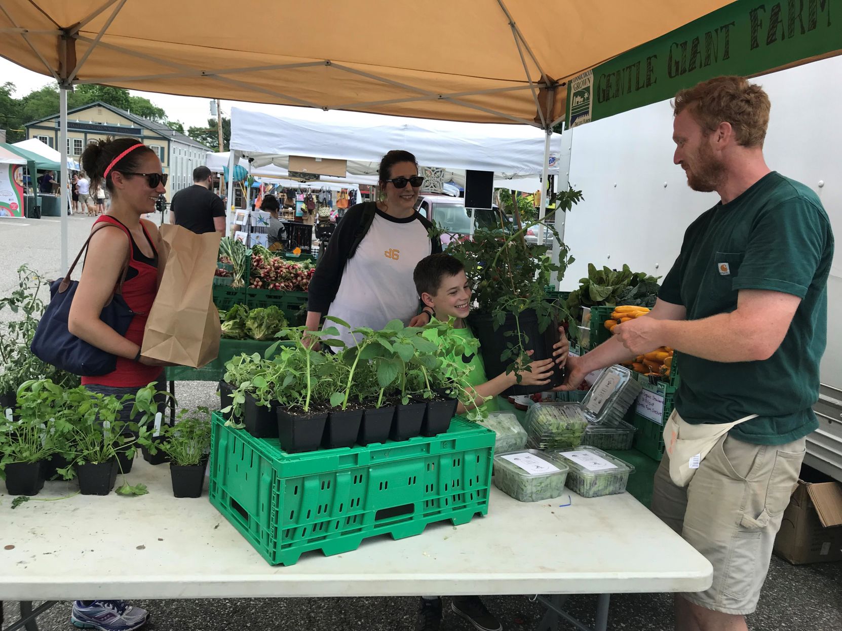 Milford Farmers Market joins forces with Business Association