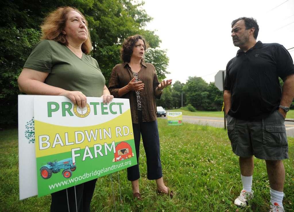 Woodbridge group in race to save historic Baldwin Road Farm