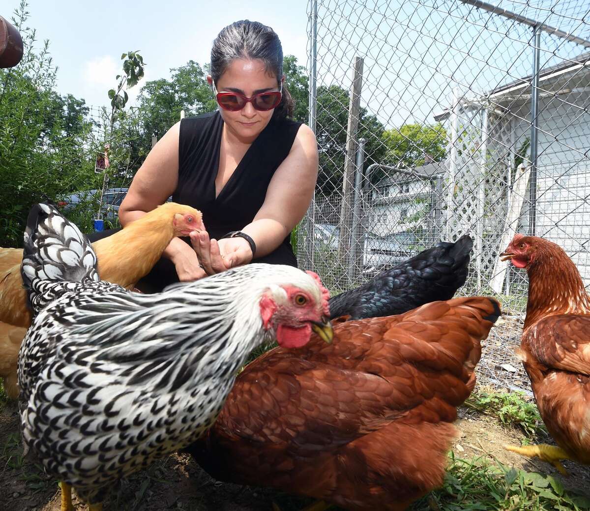 Melissa Marguy feeds her chickens at Sugaree Acre Farm in Orange.
