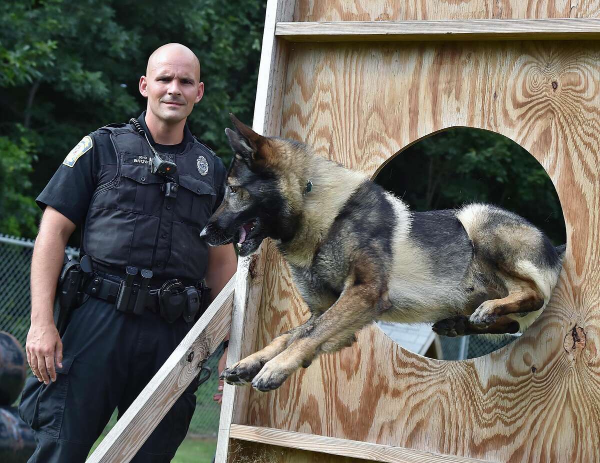 Officer Chris Brown and his K-9 partner, Loki, a sable German Shepherd that placed first in the CT K9 Olympics at Orange Police Department.