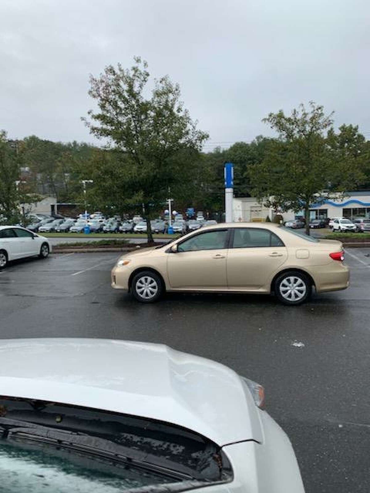 Shelton police are seeking the public's help in identifying an individual who allegedly snatched an elderly woman's purse Wednesday, Oct. 9.