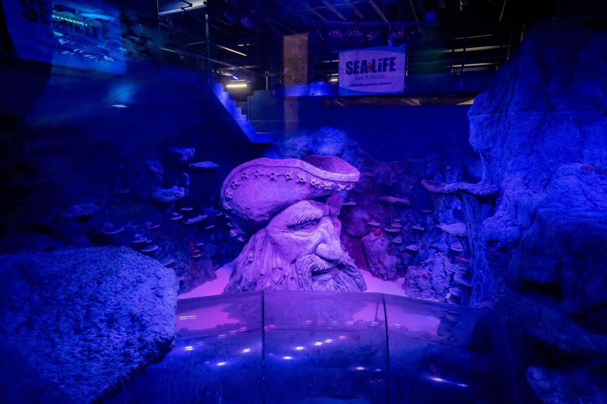 SEA LIFE Aquarium San Antonio begins to fill its 155,000gallon ocean