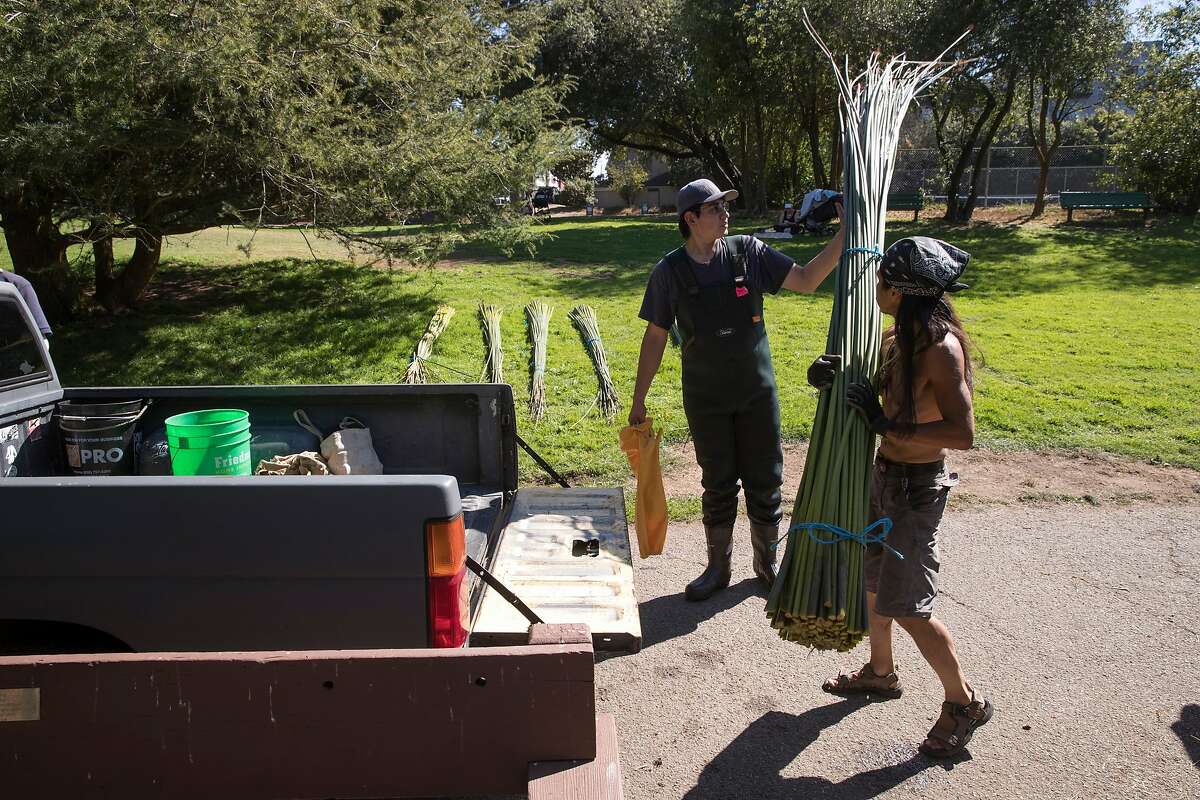 Reeds, hands and old ways come together to make Ohlone boat to paddle ...