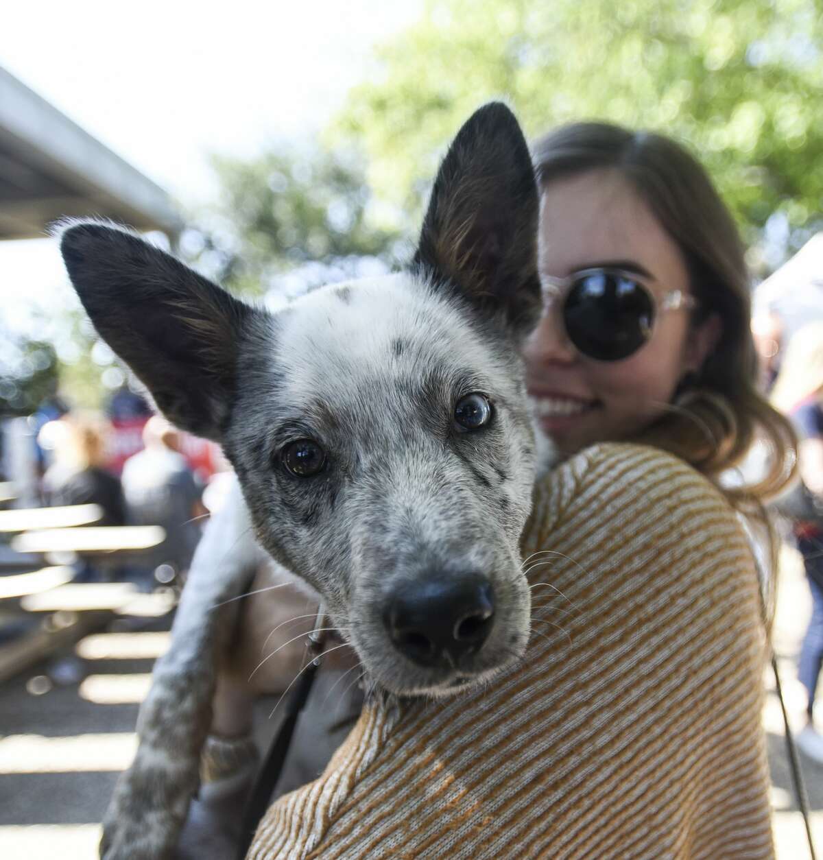 Kayley Goodhue holds Pepper at Beaumont's Dogtober Fest near the downtown library Saturday afternoon. Photo taken on Saturday, 10/12/19. Ryan Welch/The Enterprise