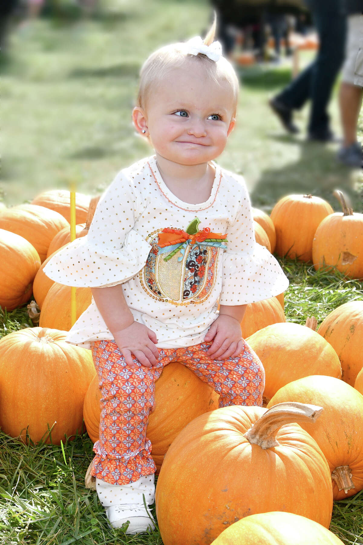 SEEN: Pumpkin picking at Jones Family Farm 2019