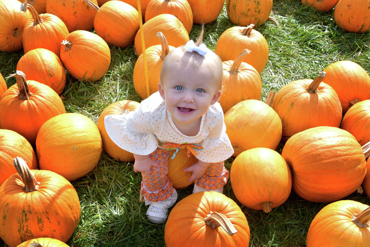 Pumpkin-picking season was in full swing on October 13, 2019. Were you SEEN at Jones Family Farm in Shelton?
