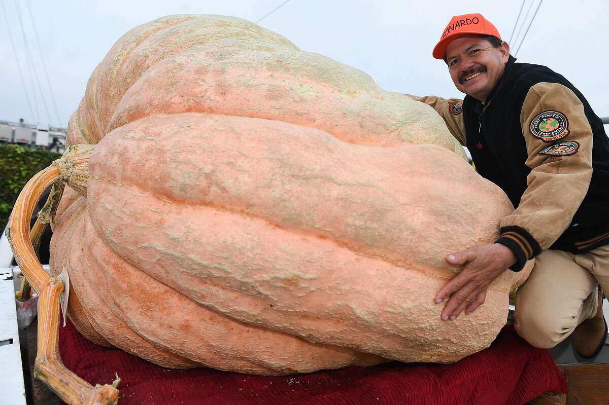 Eventual 2019 winner Leonardo Urena from Napa hugs his Atlantic Giant pumpkin in the back of his pickup truck.