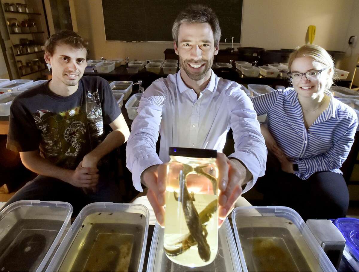 Southern Connecticut State University professor Steven Brady shows a preserved spotted salamander, with students Faruk Senturk, left, and Lauren Frymus.