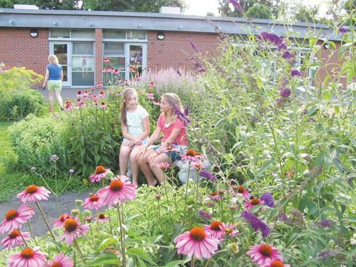 Hamden Land Conservation Trust spotlights town's 'Wild Yards'
