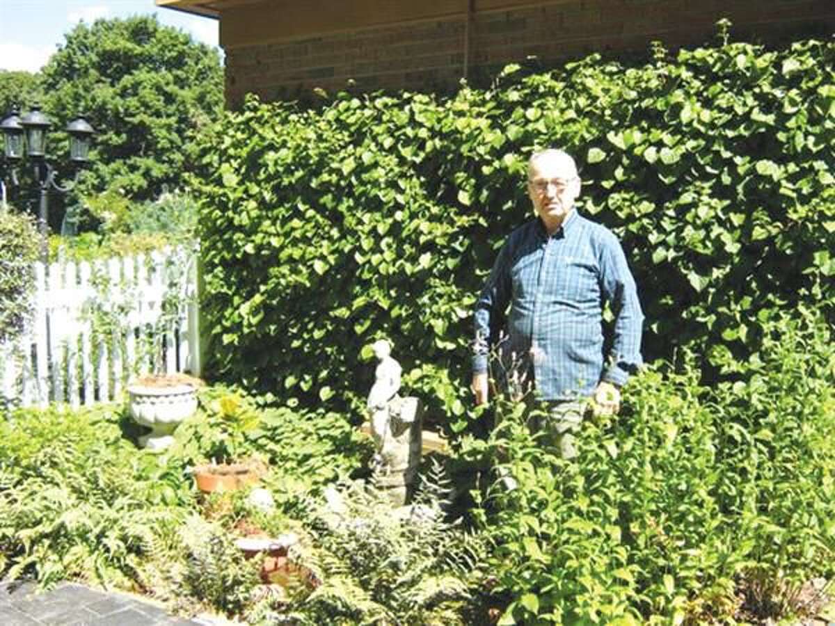 The Doheny’s ‘wild yard’ is a feast for the eyes