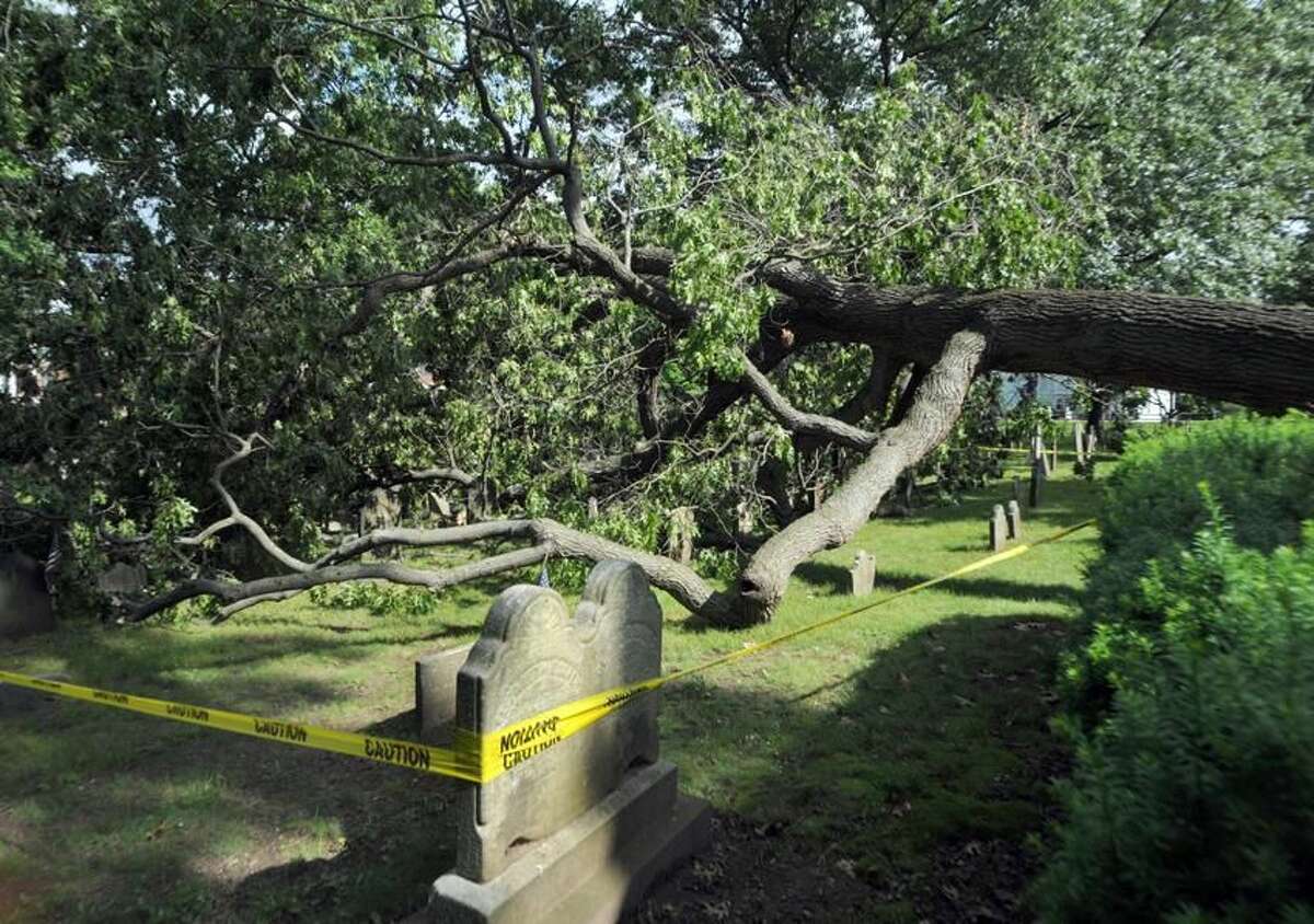 A large tree fallen on headstones in the cemetery on the North haven Green. Photo by Peter Hvizdak/New Haven Register
