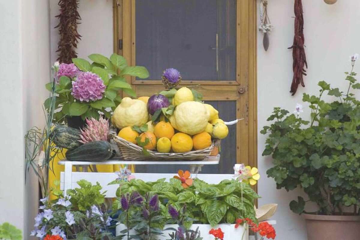 Photo by David Bellucci of fruit from an Italian home.