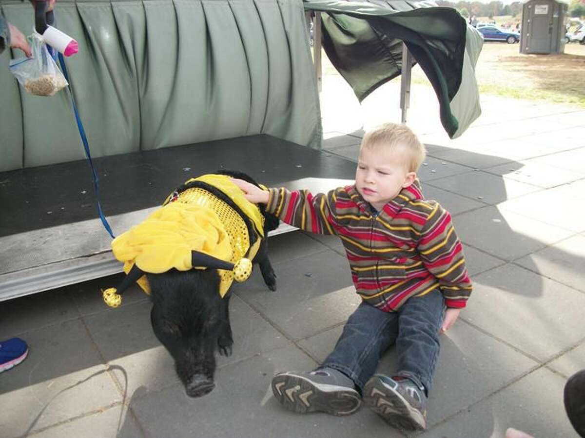 Photo by Lynn Fredricksen Jayden Regan, 2, of Hamden, gets acquainted with Edgar, a Juliana pig at the 6th Annual Halloween Pet Parade held at Town Center Park recently. Presented annually by Happy Tails Foundation, the event serves as a fundraiser for the group’s medical fund. For details, visit www.hamdenhappytails.com .