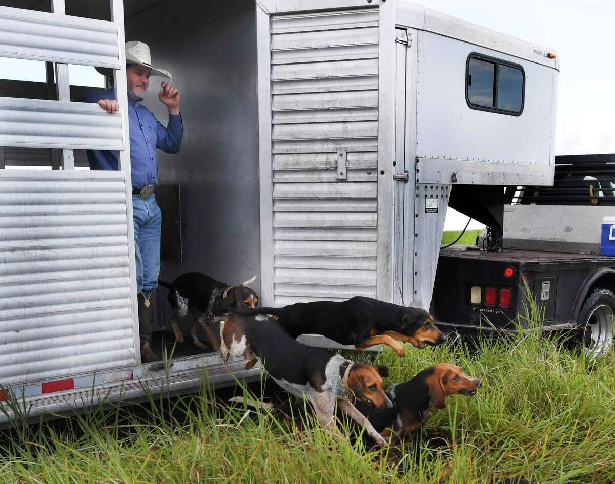 South Texastrained dogs keeping rhino poachers at bay in South Africa