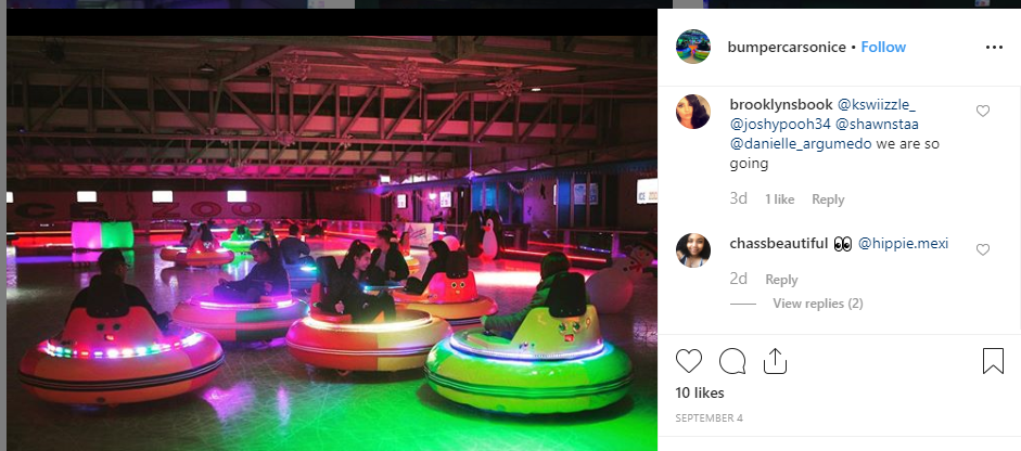 bumper cars on ice 2021