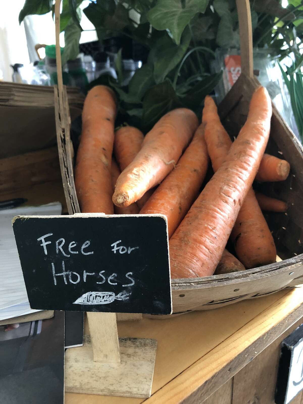 Guide A fall day in North Salem, NY