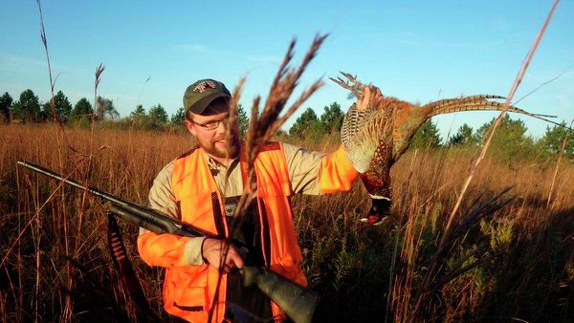 Tom Lounsbury: Michigan wild pheasant stands test of time