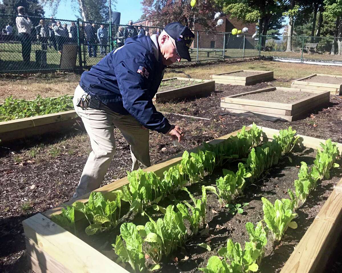 A ribbon-cutting was held Tuesday at the Veteran’s Memorial Natural Garden at Middlesex Community College in Middletown. Here, Common Councilman Phil Pessina sprinkles sand from five beaches in Normandy on the beds to honor veterans.