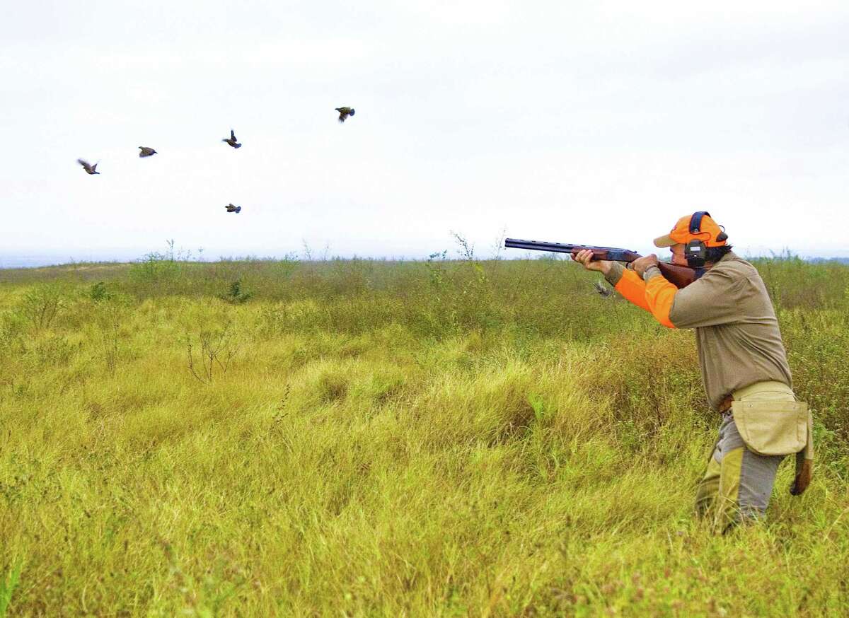 White-tail deer begins Saturday. But for those looking to hunt quail, that animal's season is already in full swing and will last until Feb. 23, 2020.