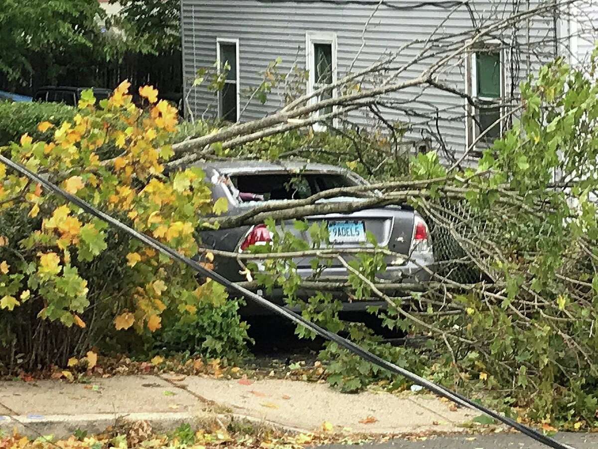 A downed tree smashed a car on Chestnut Street in Stamford on Thursday, Oct. 17, 2019.