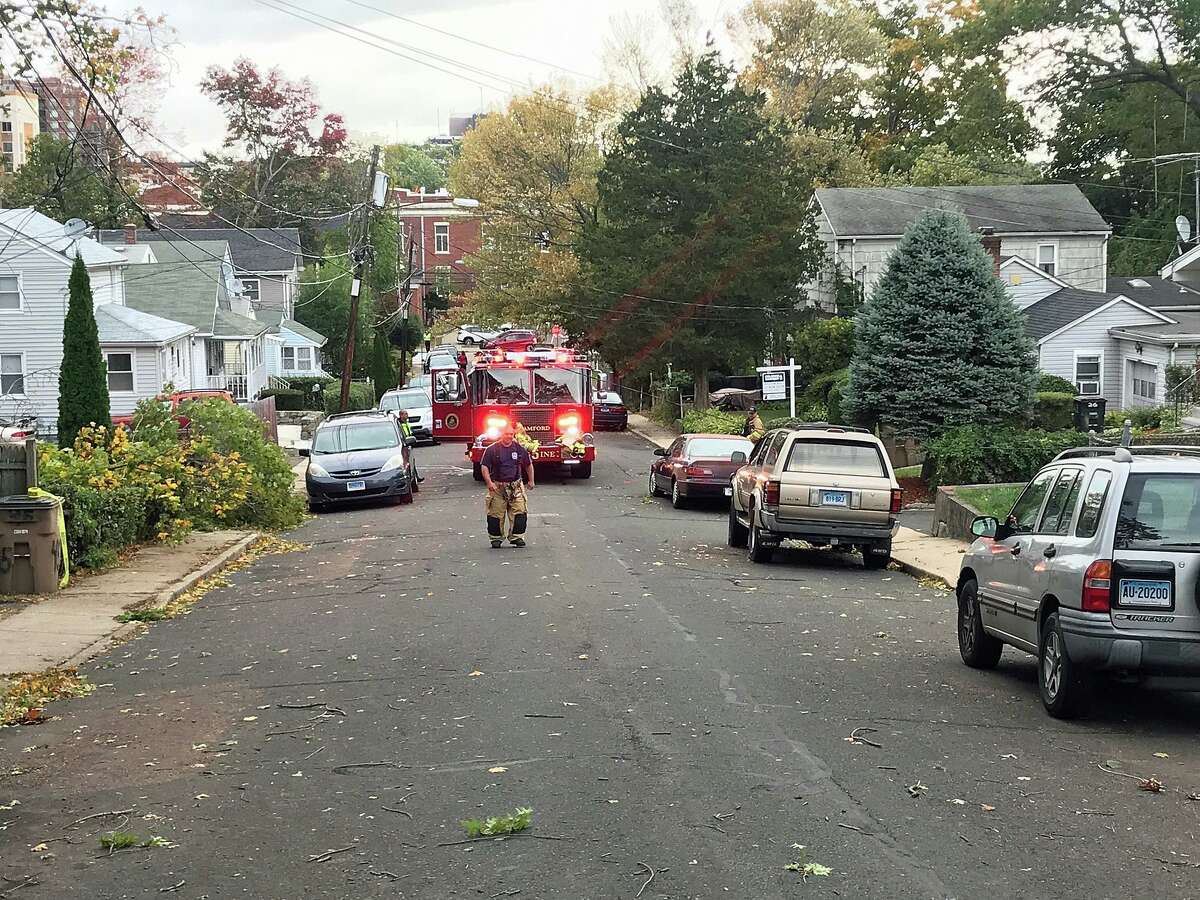 A downed tree smashed a car on Chestnut Street in Stamford on Thursday, Oct. 17, 2019.