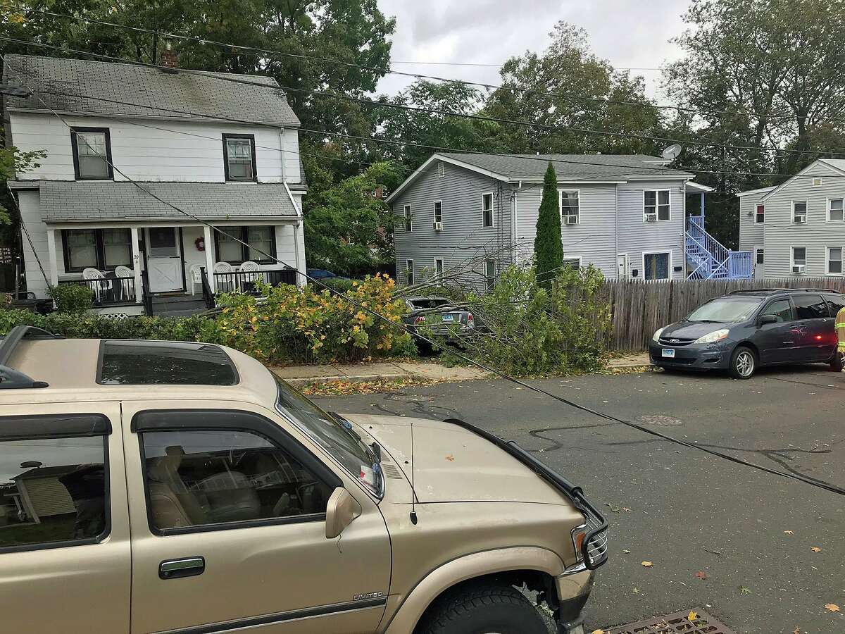 A downed tree smashed a car on Chestnut Street in Stamford on Thursday, Oct. 17, 2019.