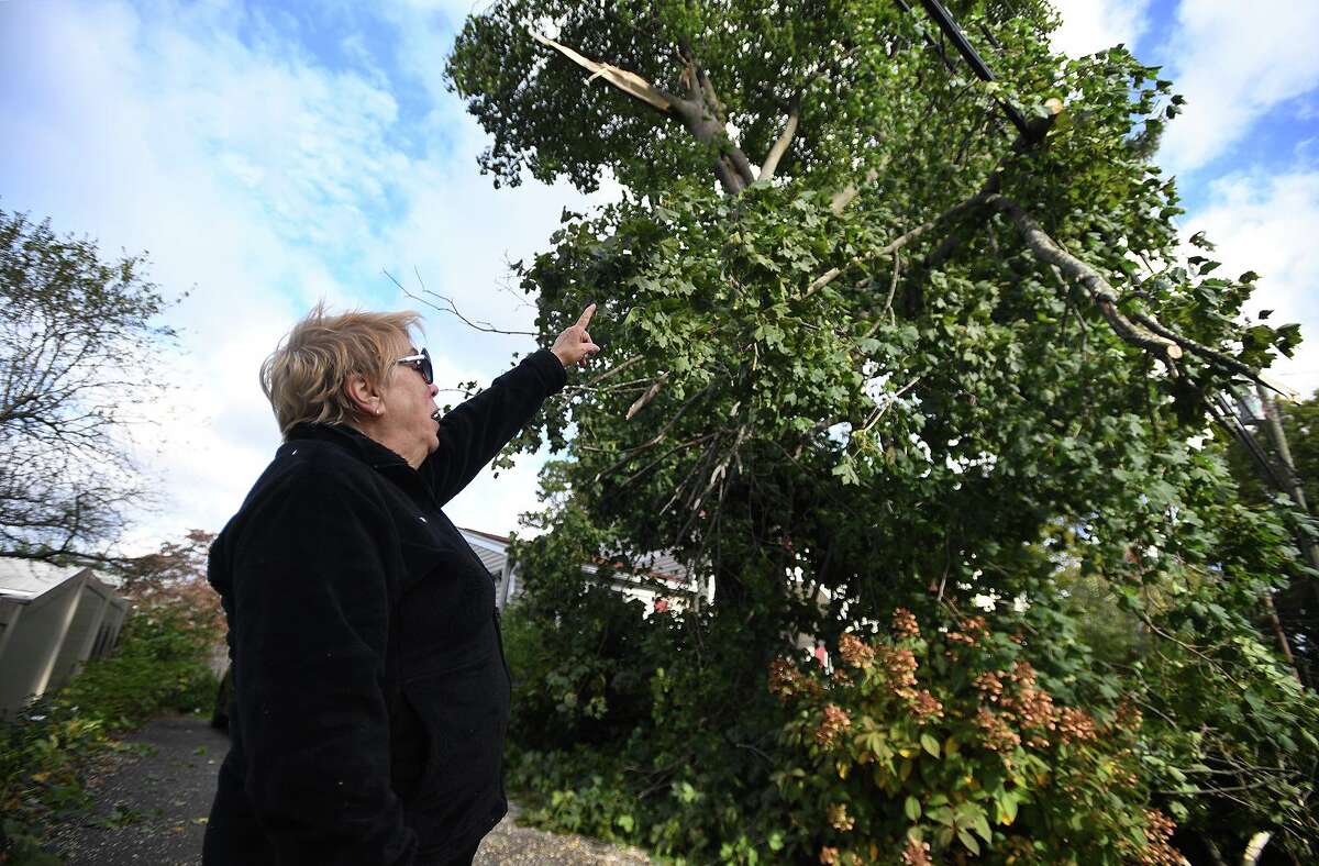 April Phillips looks at the massive maple tree fallen across the powerlines in front of her home on Meadows End Road in Milford, Conn. on Wednesday, October 16, 2019.