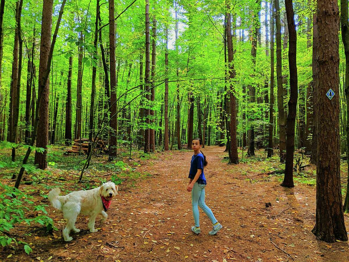 In September the Boswell family took a hike on the trails at Clifton Park's Kinns Road Park, a trip that included their one-year-old golden doodle Murphy and their daughter Chloe. (Robert Boswell Jr)
