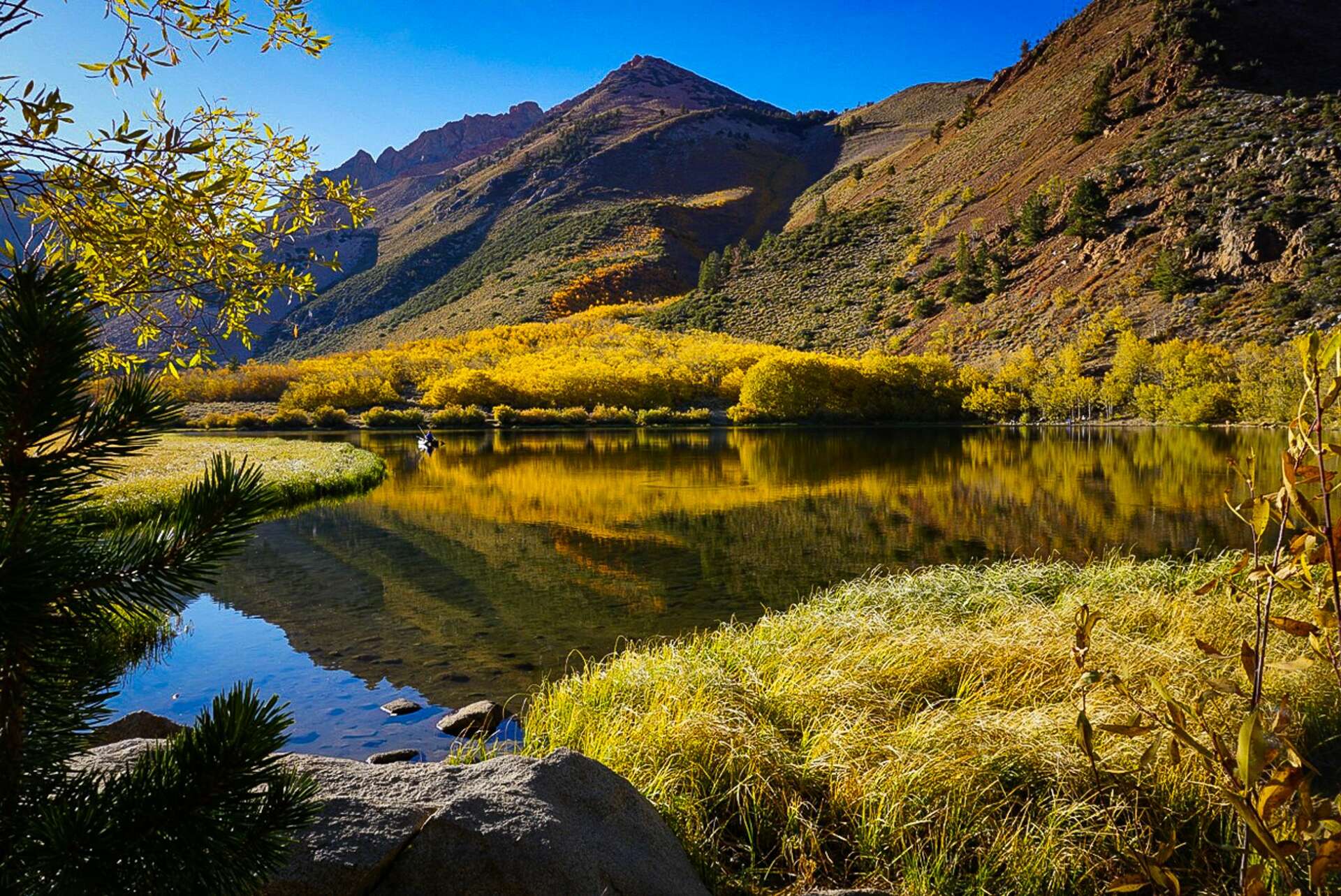 Who needs the East Coast? Fall foliage in the Sierra looks insanely  beautiful, image size:1920x1283