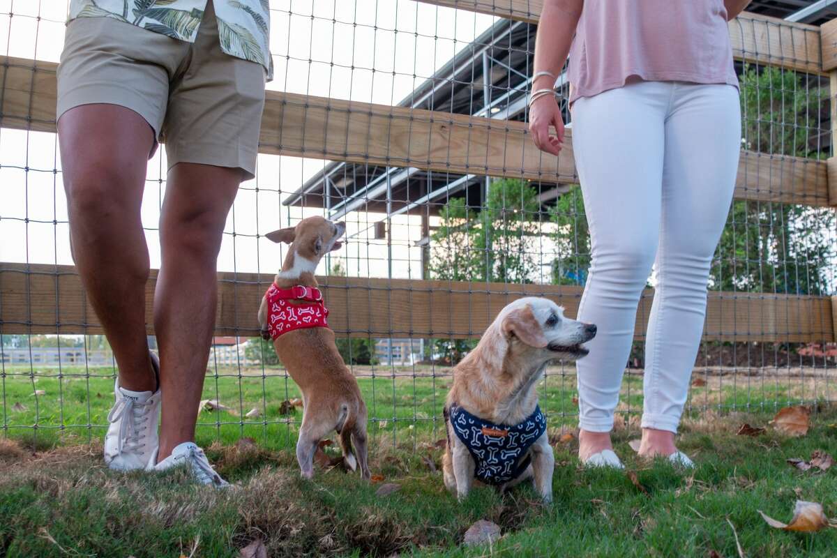 The Powder Keg bar with volleyball courts, dog park opens in West Houston