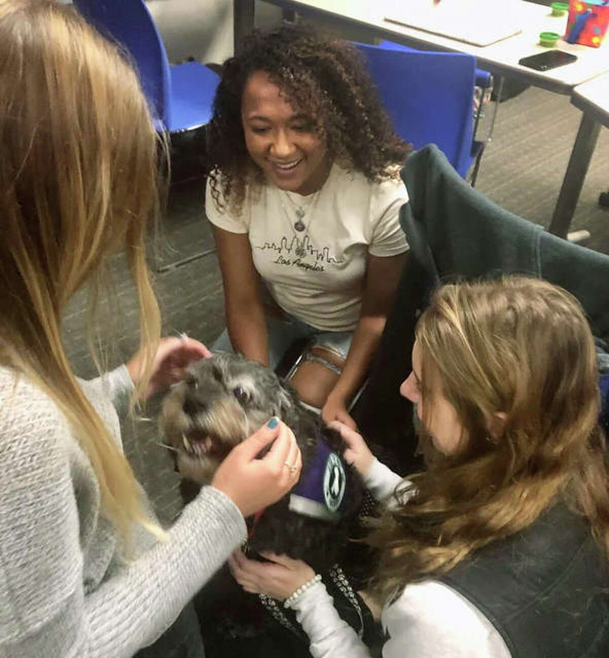 SIUE education students Madison Hamby, Marina Taylor, and Ashley Orr learn first-hand the opportunities presented by having therapy dogs in a classroom setting.