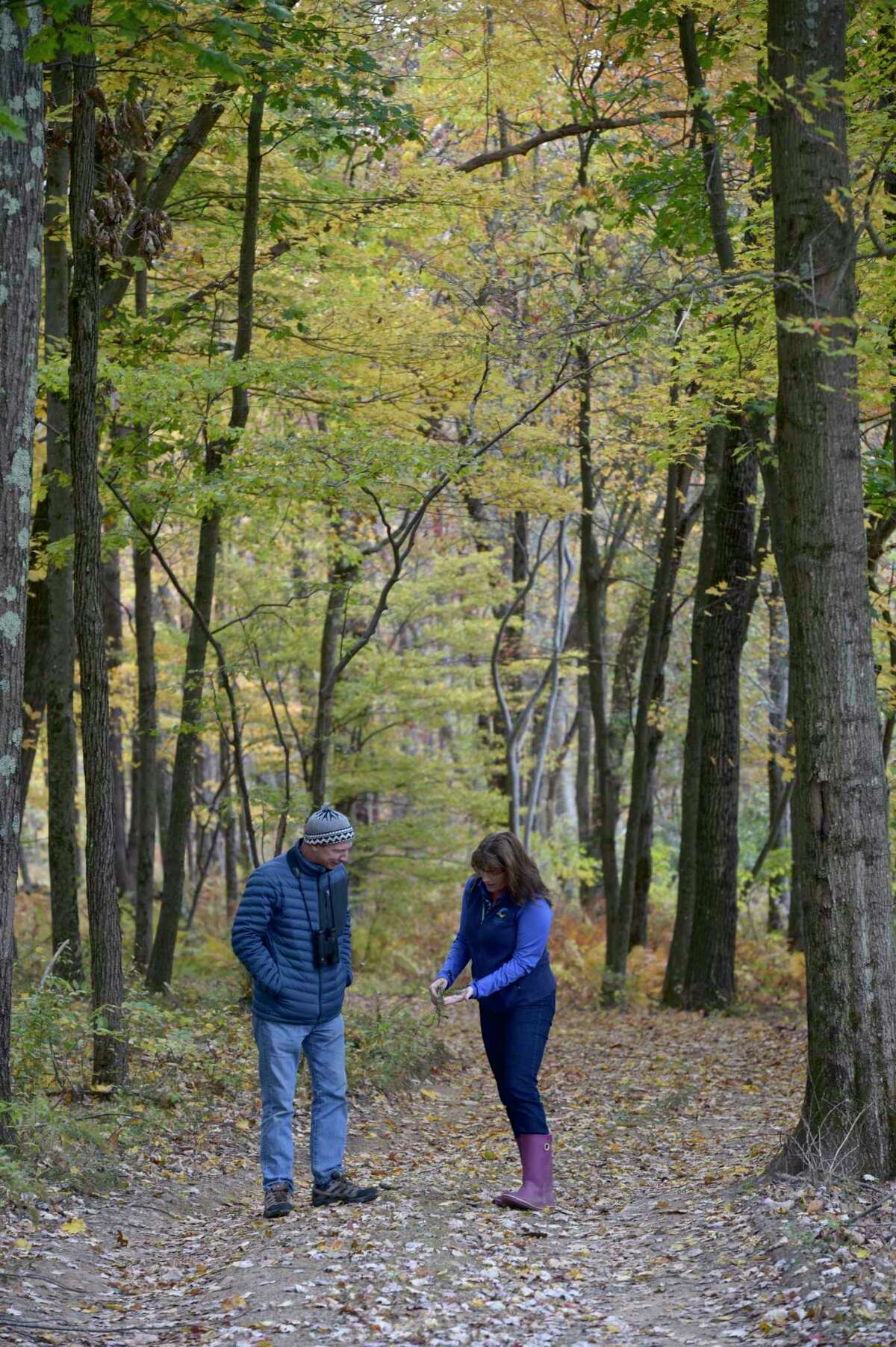 Director Cathy Hagadorn, right, and biologist Jim Arrigoni on one of the trails at Deer Pond Farm in Sherman. Like many places in the state, dear Pond has lost a number of trees to the invasive emerald ash borer. They are using the tree losses to create new spaces that will attract birds. Wednesday, October 16, 2019, in Sherman, Conn.