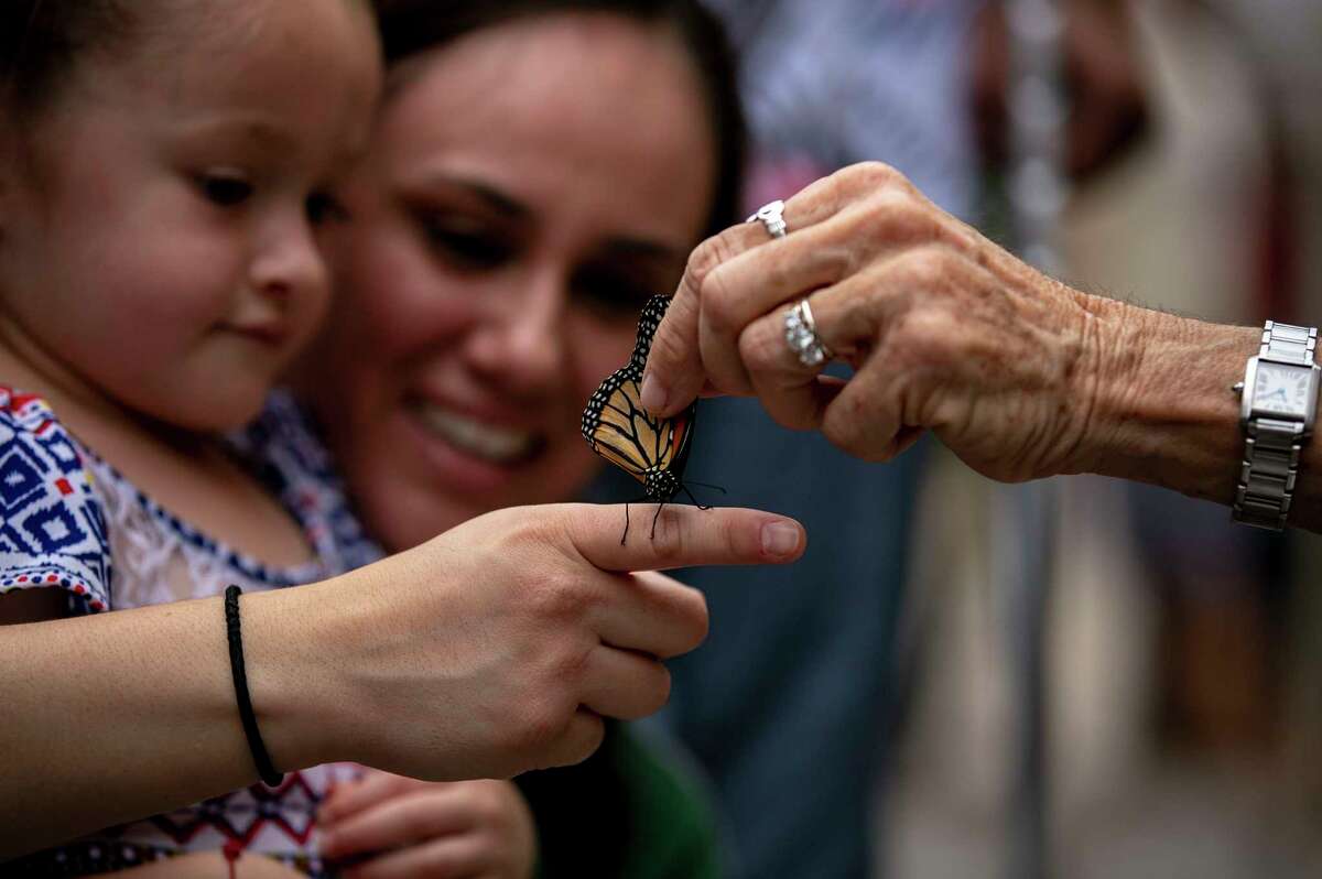 Monika Maeckle places a tagged monarch butterfly on the finger of Victoria Martinez as she watches with her daughter Yazmin Martinez, 4, during 4th annual Monarch Butterfly and Pollinator Festival at the Pearl in San Antonio, Texas, Oct. 20, 2019.