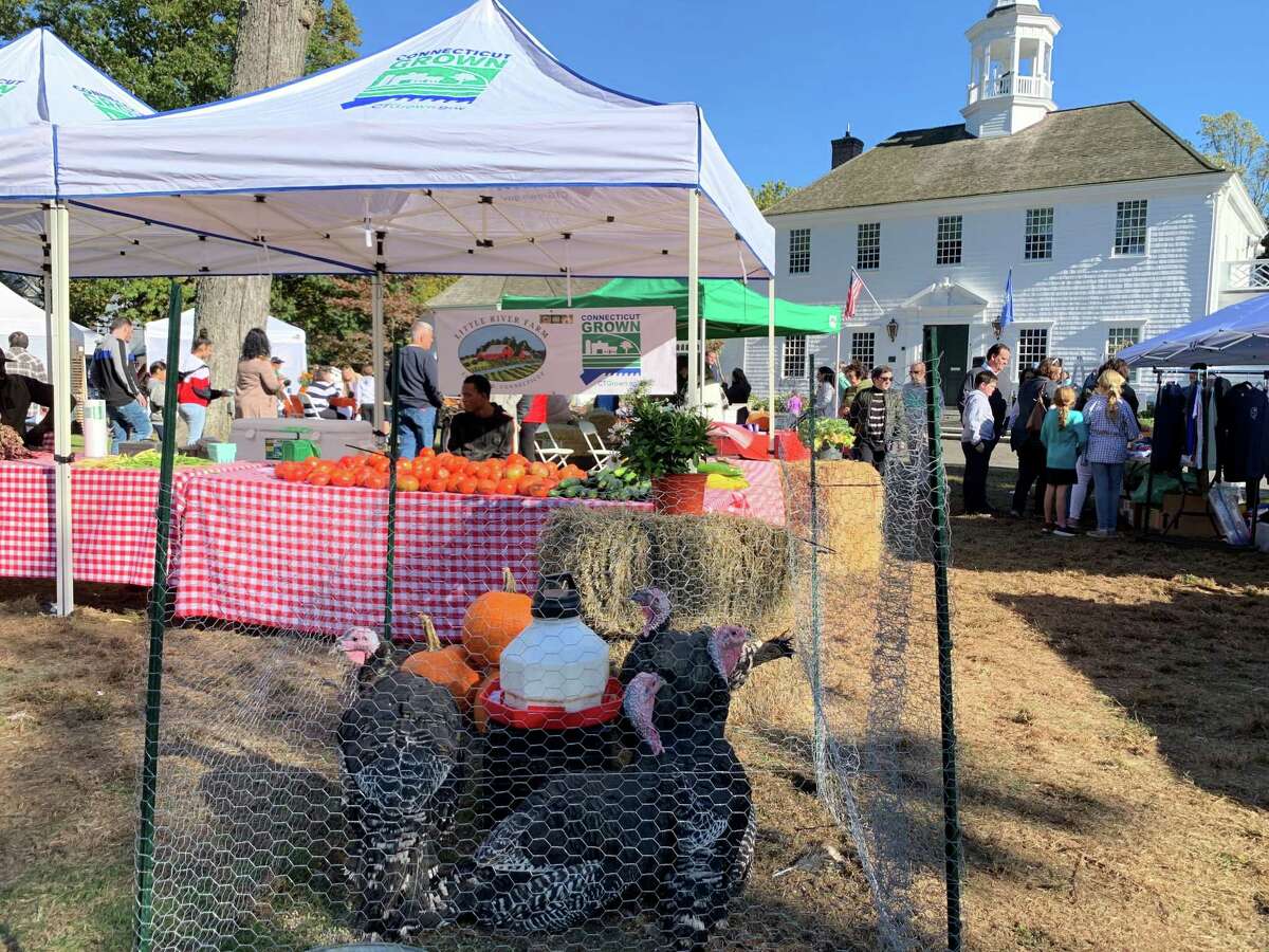 Hundreds of people attended the Harvest Market event